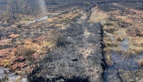 Huge area of Garry Bog devastated beyond recognition