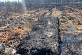 Huge area of Garry Bog devastated beyond recognition