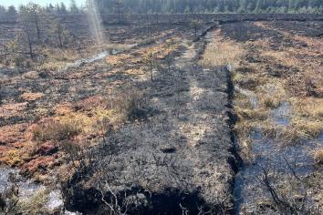 Huge area of Garry Bog devastated beyond recognition