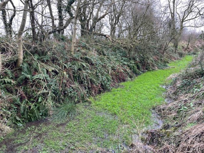 ‘End of the road’ for the Ballymoney to Ballycastle Greenway?