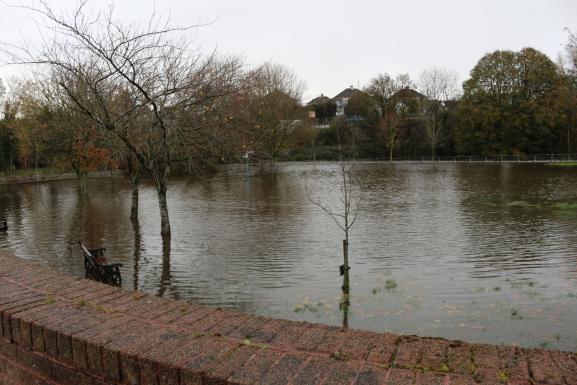 Morning composition image